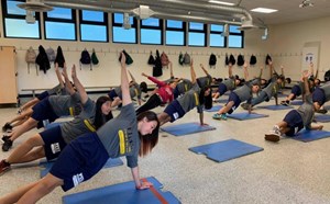 Mindfulness Moments at Fitz - article thumnail image