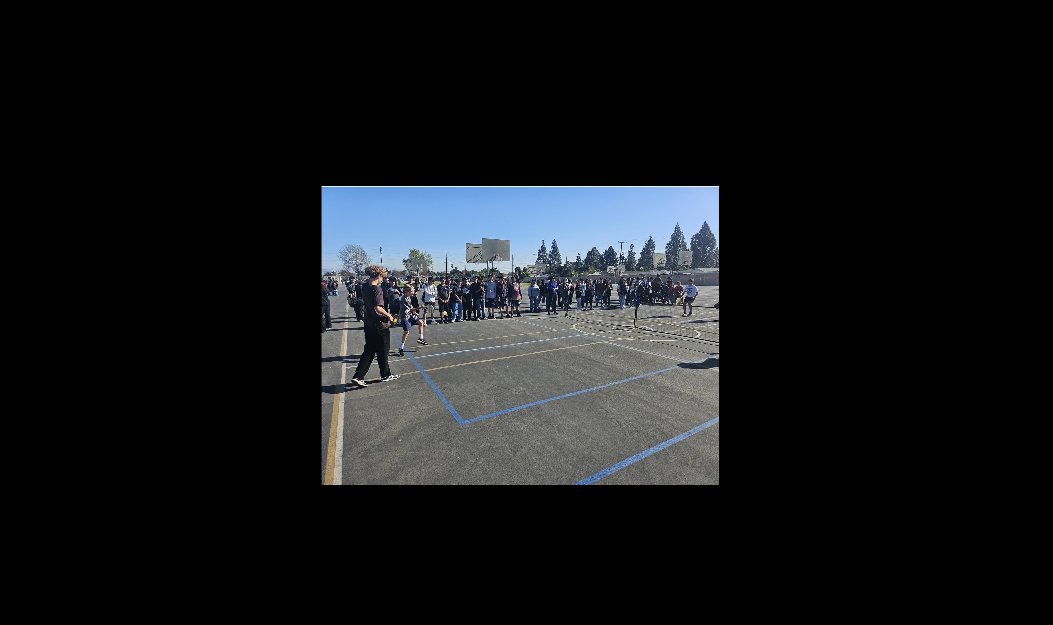 Pickleball Championship