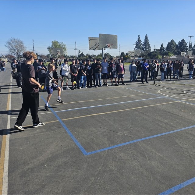 Pickleball Championship