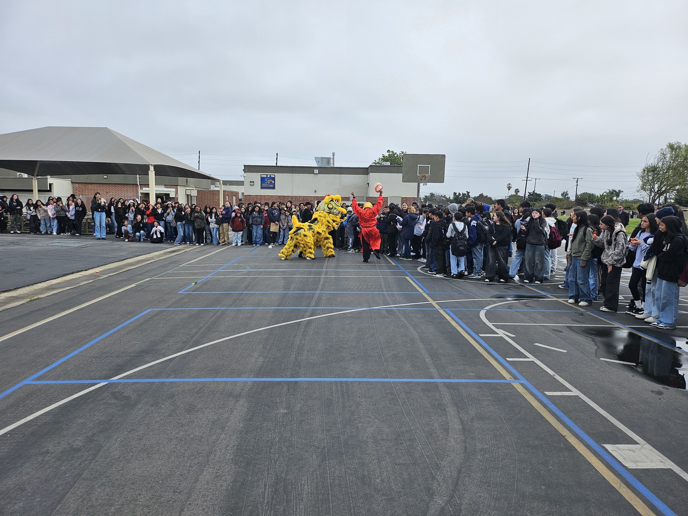 Lunar New Year Celebration