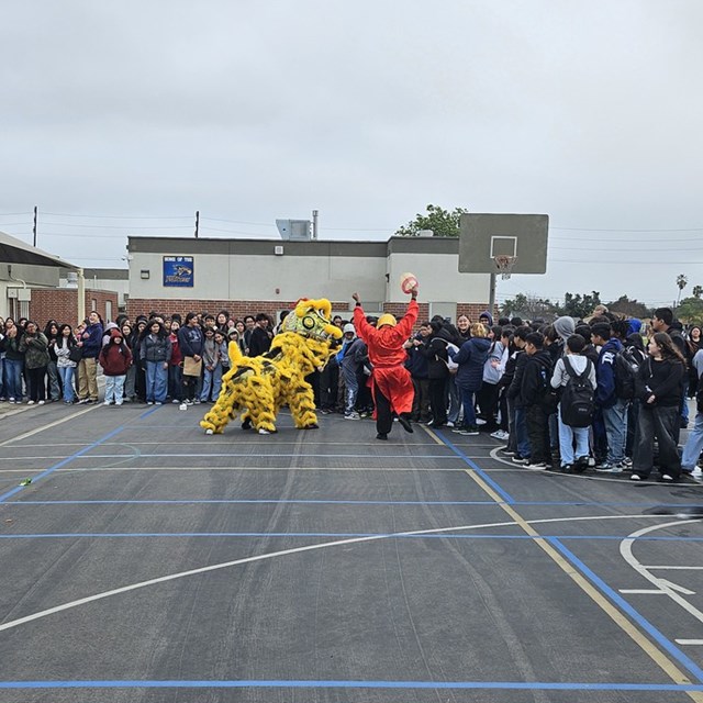 Lunar New Year Celebration