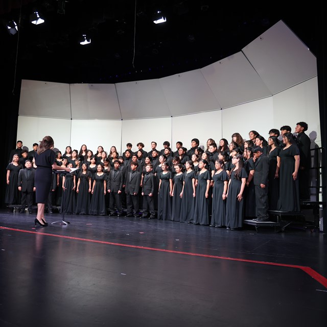 Fitz Choir Performs at Choir Festival